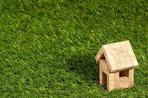 Top tips for lawn maintenance for Calgary homeowners