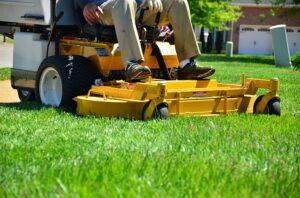 Why one should invest in proper lawn care services?