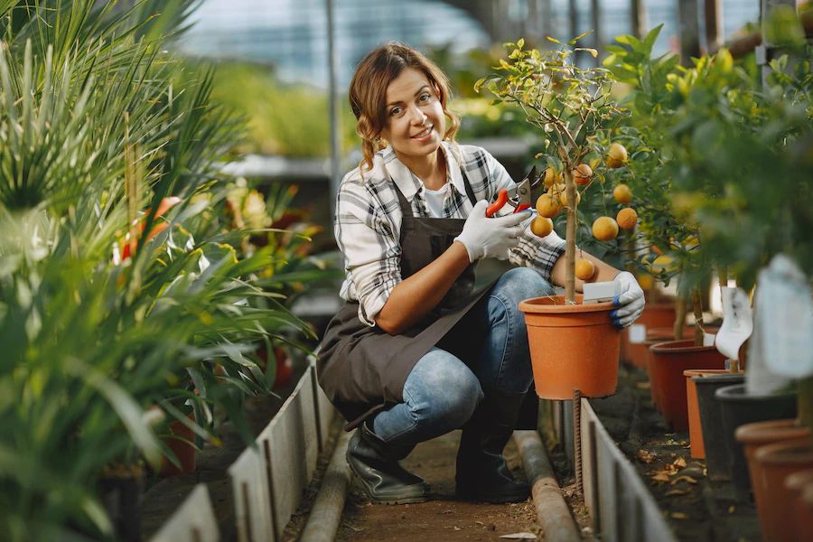 Improve Your Garden Aesthetics