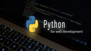 Examples of Python in Web Development in the Real World