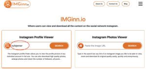 Imginn: Download and Save Instagram Photos