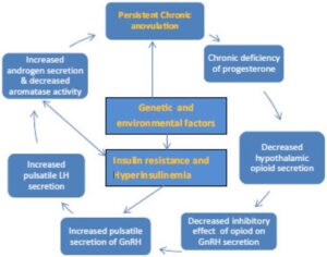 PCOSCO: Prevention and Symptoms