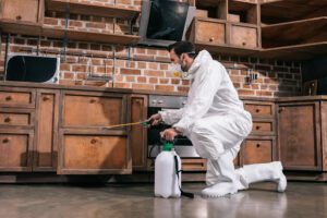 The Importance of Knowing the Advantages and Disadvantages of Pest Control
